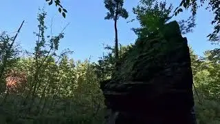 Hiking Summer Trail
