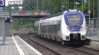 Neue Sichtungen  Krefeld - Oppum   20.07.2019