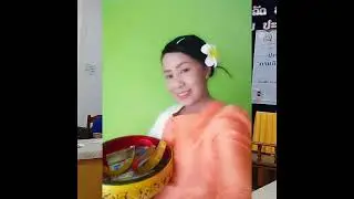 Cham pa Lao song Frangipani  flower   Called  Dok Cham Pa  in Laos , This is Lao national flower