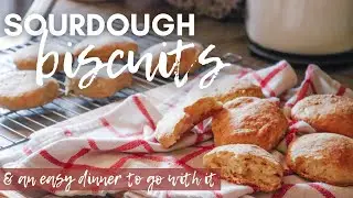 Never Fail Sourdough Biscuits - Beginner Friendly