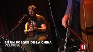 Melingo chante 