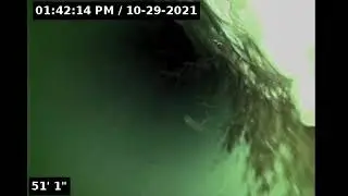 1492 #1
