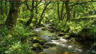 River Image for You | Slideshow | Framed Art Screensaver | Art for Your TV