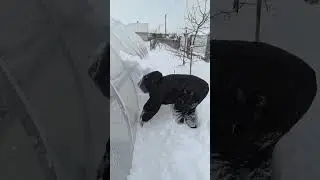 #обзор Плёнка 