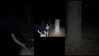 Find Mothman in the woods at night #mothman #Curiosity #fear #Thriller #urbanlegends #monster