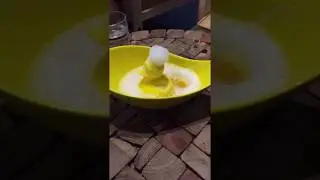 Rubber Duck Sorbet @ Non Entree Dessert Cafe Singapore