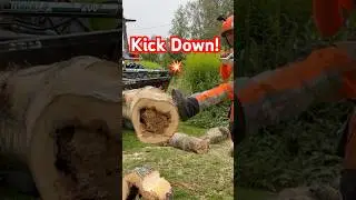 Rotten Birch in Grapple | Chainsaw + Boot Power 💥