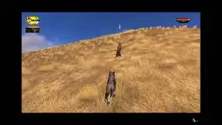 Katari chasing Cougar | WolfQuest 2.7 ? | @JayPlays535