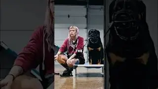 The Goal for Dogs with Handling Issues. #doghandling
