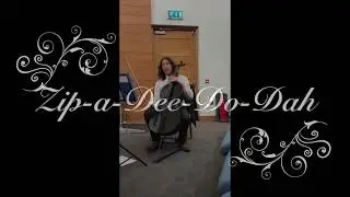 Zip-a-Dee-Doo-Dah -Performed by 'String Maestro Wedding Duo'.