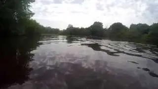 Wild Swim Guide -  Eyeworth Pond, New Forest