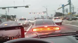Terrra Toys Austin. Sorry, but it Sucks!! Oct 2020