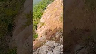 #most😱#dangerous #rock #forest #indian #hill #hiker #mountain #trekker #adventure #viral #shorts