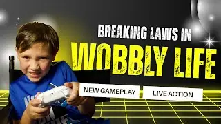 Breaking Laws Again in Wobbly Life
