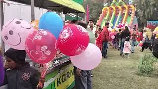 38th Chrysanthemum Show (Terrace Garden Mela) – Sector 33, Chandigarh #ytshorts #festival Part -3