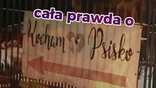 Cała prawda o schronisku Kocham psisko 
