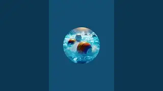 DiveZone is live