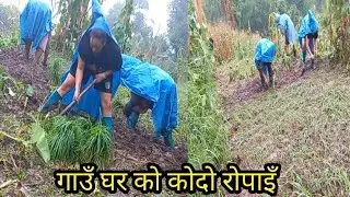 village Khotang #vlog pramisa rai#channel !!!
