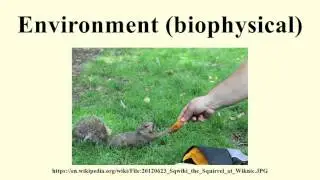 Environment (biophysical)