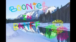 Boonies in Banff