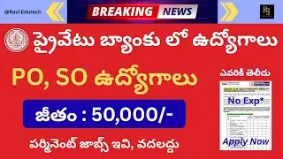 Private Bank Jobs | Nainital Bank Notification 2025 | PO, SO & CSA Recruitment Telugu | Apply Now