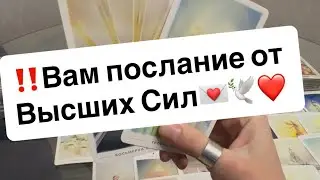 ‼️Вам послание от Высших сил💌🕊️❤️
