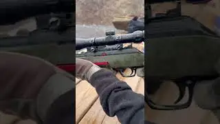Winchester Wildcat 22lr #shorts