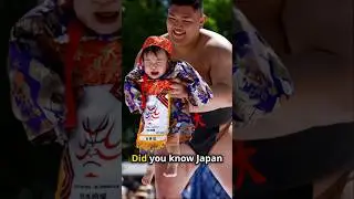 Japan's Quirky Crying Sumo Contest! 2024-09-06