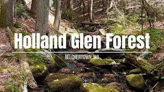 Glen Holland forest, Easy hike with waterfall, Belchertown Ma