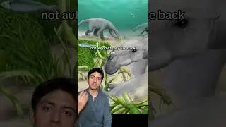 The Giant Underwater Sloths #prehistoric #animals #nature #wildlife #sloth