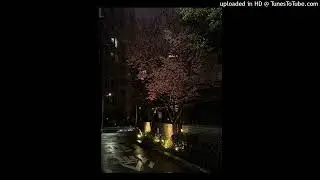pluglip x c4rlinhxs type beat - 