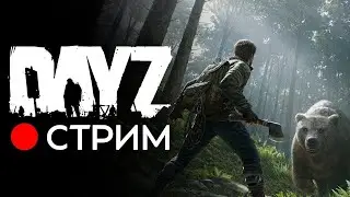 Новичок играет в Дейз