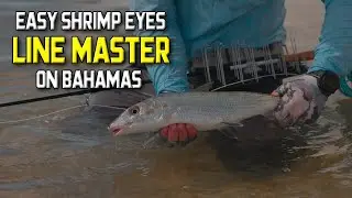 Line Master | Amazing Line Basket For Fly Fishing | Tested On The Bahamas | Easy Shrimp Eyes