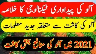 Potato production technology | Potato farming | Potato crop cultivation, sowing time and fertilizer