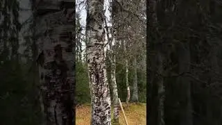 A random cabin in Norway