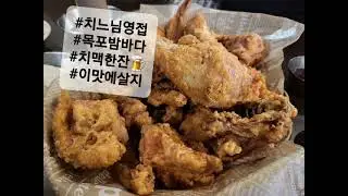 제주인싸댕댕이 [maxbone cc점퍼] -초코의하루