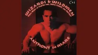 Five Encores to Dynamic Motion: What's This