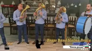 Brass Band Složna Braća Pirot Srbija - proba mart 2023 - Бяла роза (Bela Ruža)