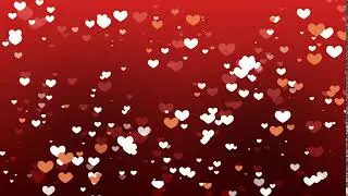 new Wedding Background Video Effects 79