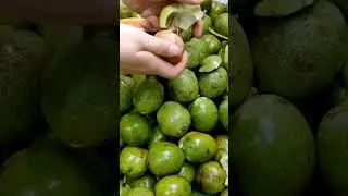 Walnut harvest #shorts #shortsfeed #walnut #harvest