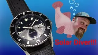 Vaer DS4 Meridian 38mm Dive Watch review!