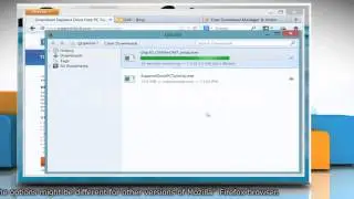 How to manage downloaded files using the 'Downloads' window on Mozilla Firefox