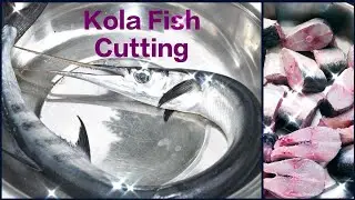 Fish Cuttings #10 | Kola Fish Cutting - at Home | Garfish | Needle Nose Fish | Murrel Fish Cutting