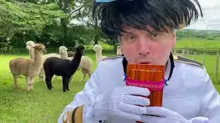 Tr&aacute;iler n&uacute;mero uno de Fringe Moive de Twonkey 2024