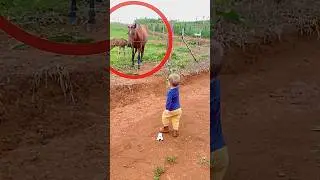 He came to feed the horse 🐴💓 #horse