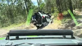 Unforgettable Jeep Trail Rides: Citrus WMA.