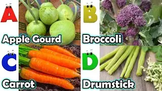 ABC Vegetables song | Alphabet Song for Kids | Fun Learning Video | Koko Study Class 2025