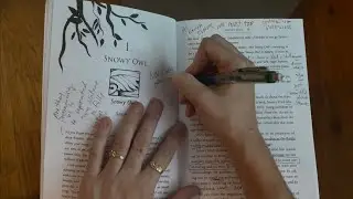 How To Annotate | Hands on Reading