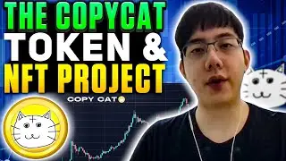 THE COPYCAT TOKEN - Full Disclosure and NFT Project Reveal
