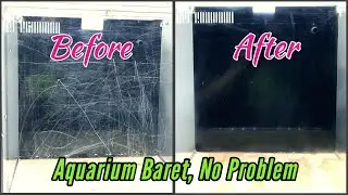 cara menghilangkan kerak goresan baret pada aquarium
